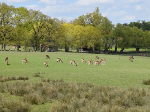 Cette semaine le Wake Up vous offre vos places pour le Parc...